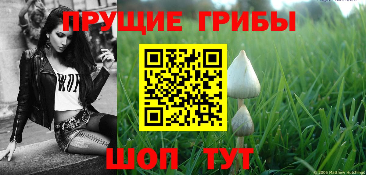 Псилоцибиновые грибы прущие грибы Михайловка