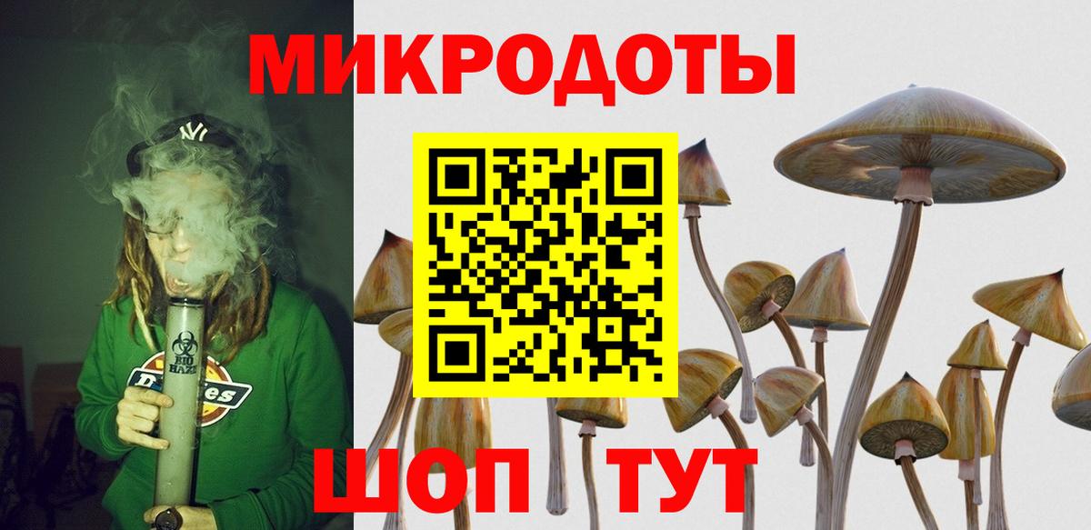 как найти закладки  Вход с VPN  Михайловка  Псилоцибиновые грибы GOLDEN TEACHER 
